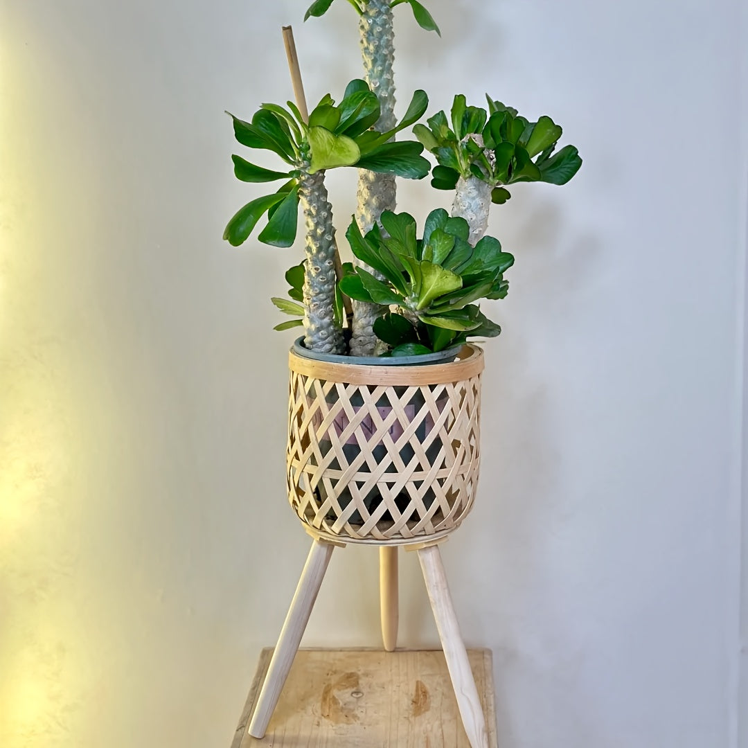 Bamboo Woven Flower Stand with legs showcasing potted plants and a stylish design