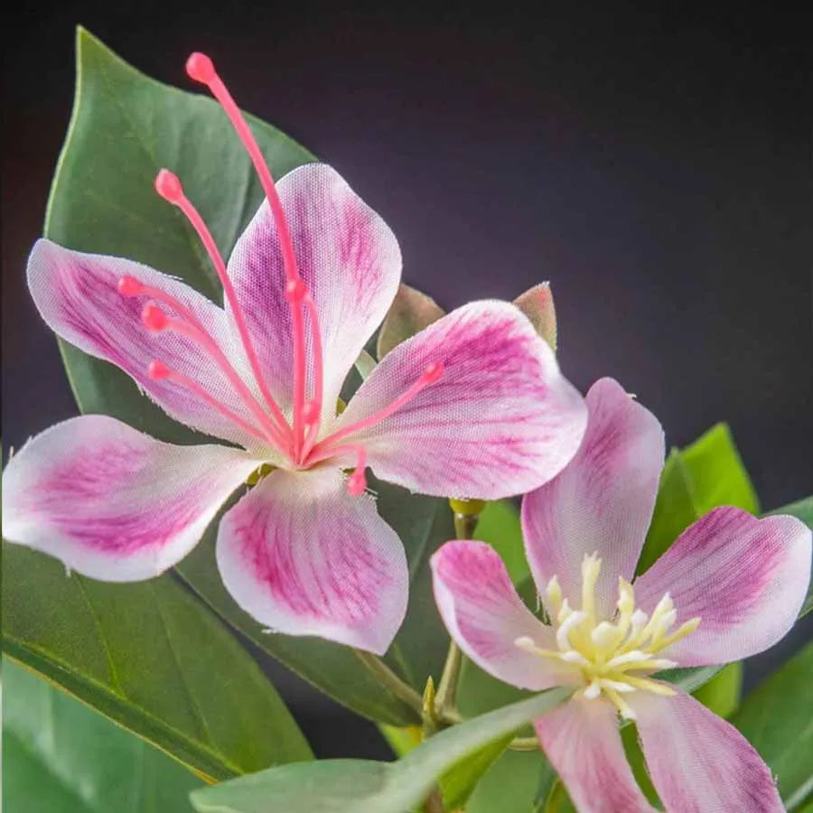 Close up of Nutshell realistic artificial magnolia tree for living room with pink white blossoms and green leaves