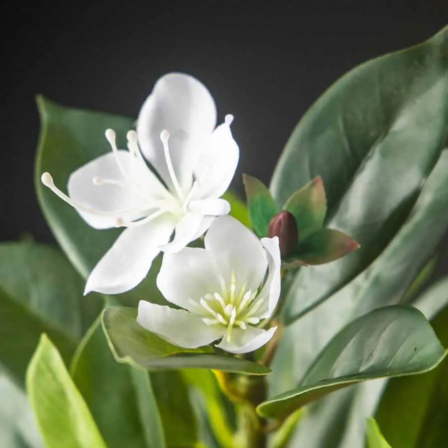 Nutshell realistic artificial magnolia tree for living room with white magnolia blooms and glossy green leaves