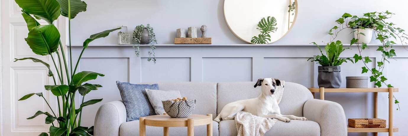homewares home decor