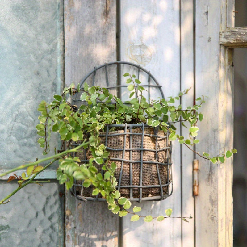 Nutshell iron wire wall basket with a greenery plant adding a rustic touch to any decor