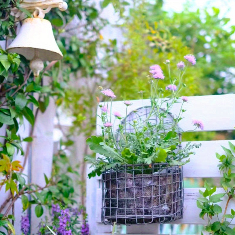 Nutshell iron wire wall basket holding vibrant flowers for stylish home decor
