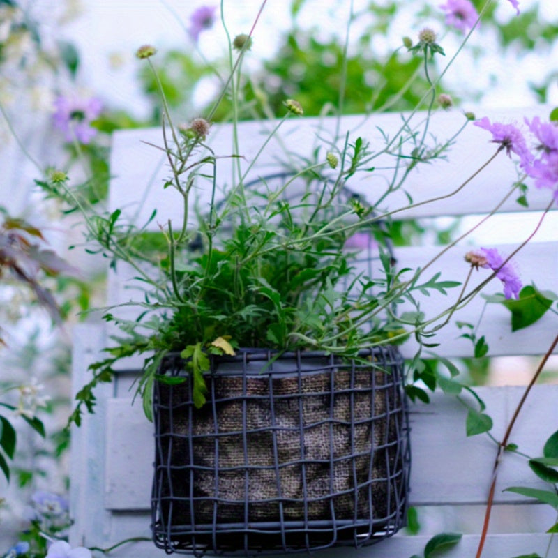 Nutshell iron wire wall basket with blooming plants for stylish indoor or outdoor decor
