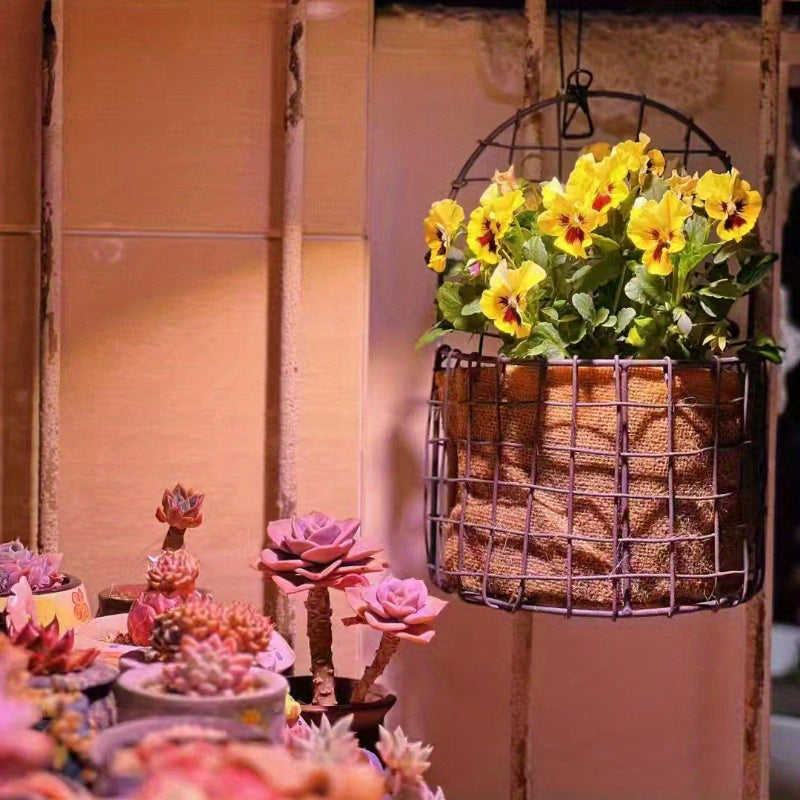 Nutshell iron wire wall basket with vibrant yellow flowers for decorative indoor planting