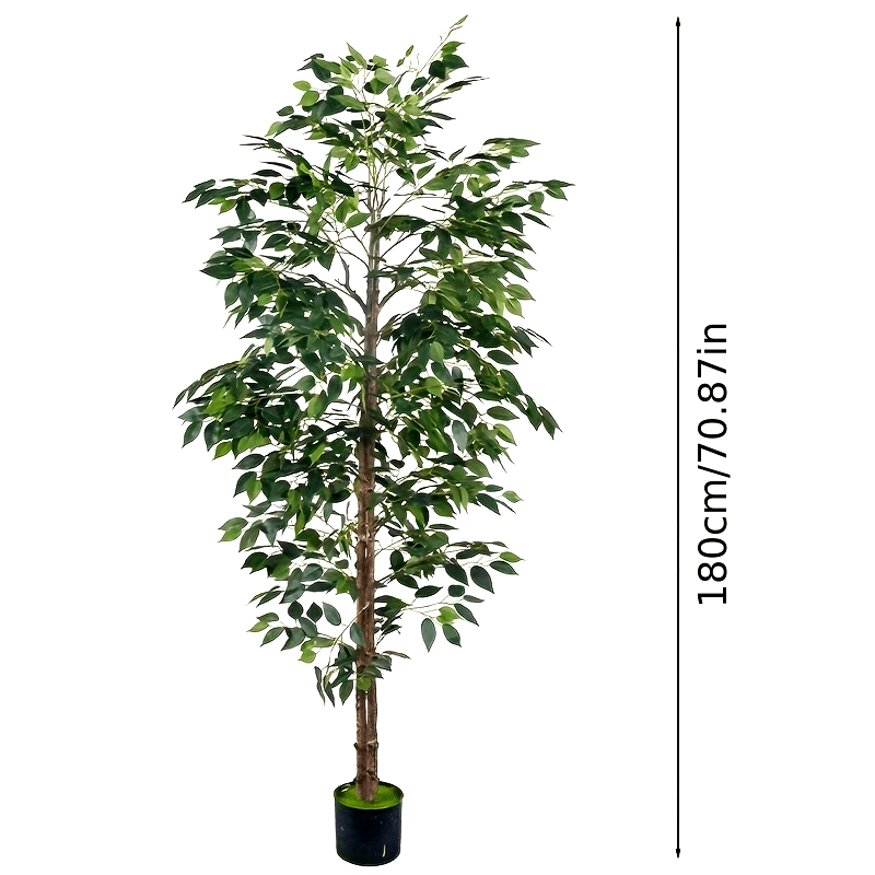 Luxury faux Ficus bonsai tree standing 180cm tall, perfect for indoor decoration