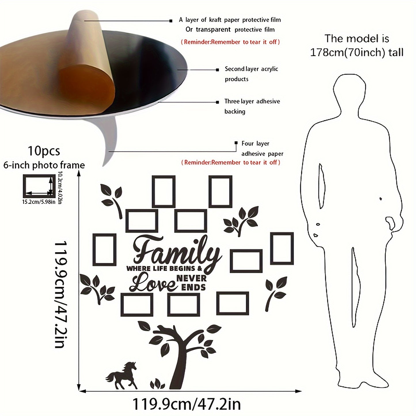 Self-adhesive family tree frames for displaying photos, ideal for home decor and family memories