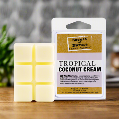 Tropical Coconut Cream Scents of Nature Soy Wax Melts