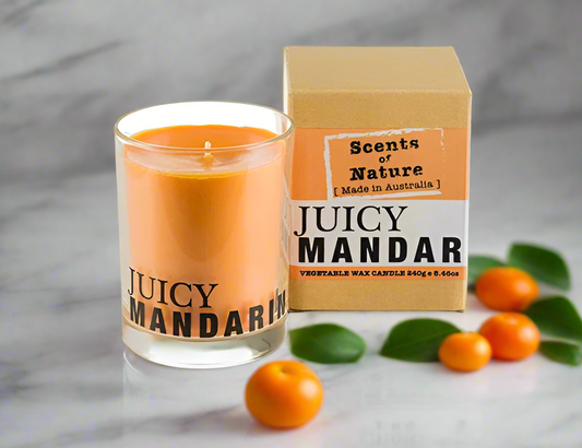 Scents of Nature Soy Candle 240g - Juicy Mandarin