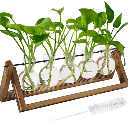 Nutshell 5-Tube Wooden Hydroponic Vase for Home Decor