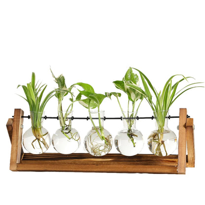Nutshell 5-Tube Wooden Hydroponic Vase for Home Decor