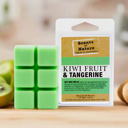 Kiwifruit & Tangerine Scents of Nature Soy Wax Melts