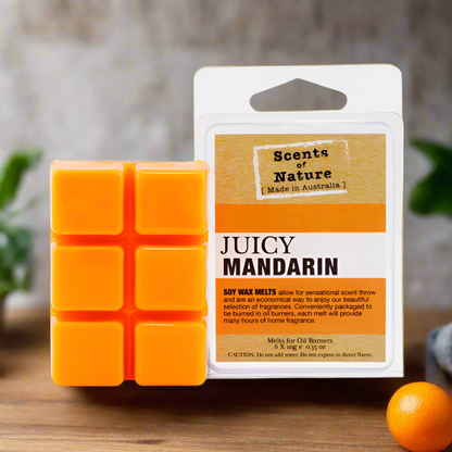 Juicy Mandarin Scents of Nature Soy Wax Melts