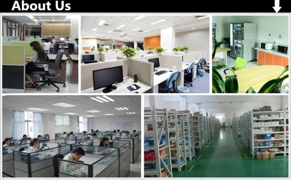 Modern office space with employees working and artificial eucalyptus bouquet decorations