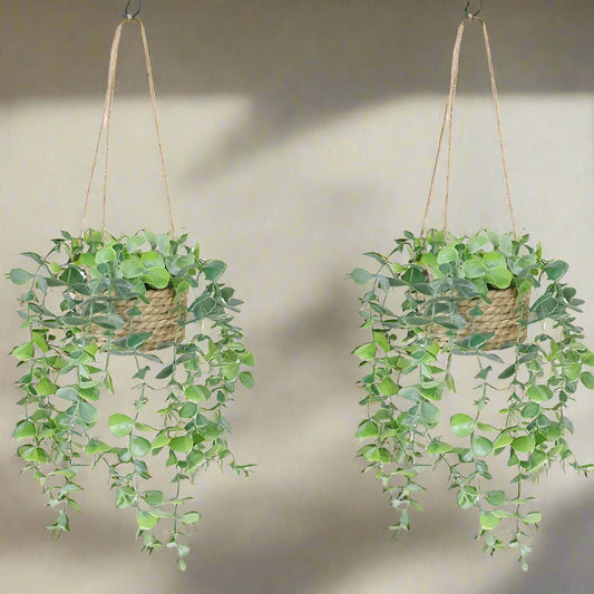 Nutshell artificial eucalyptus hanging plants in woven baskets with cascading greenery for home decor