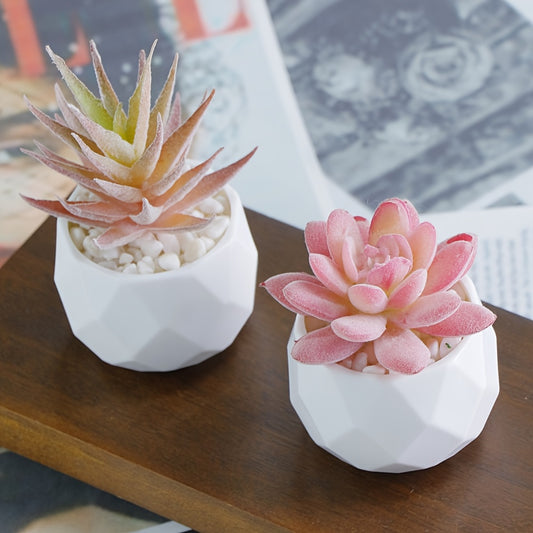 Nutshell artificial succulent bonsai in white geometric pots with decorative pebbles