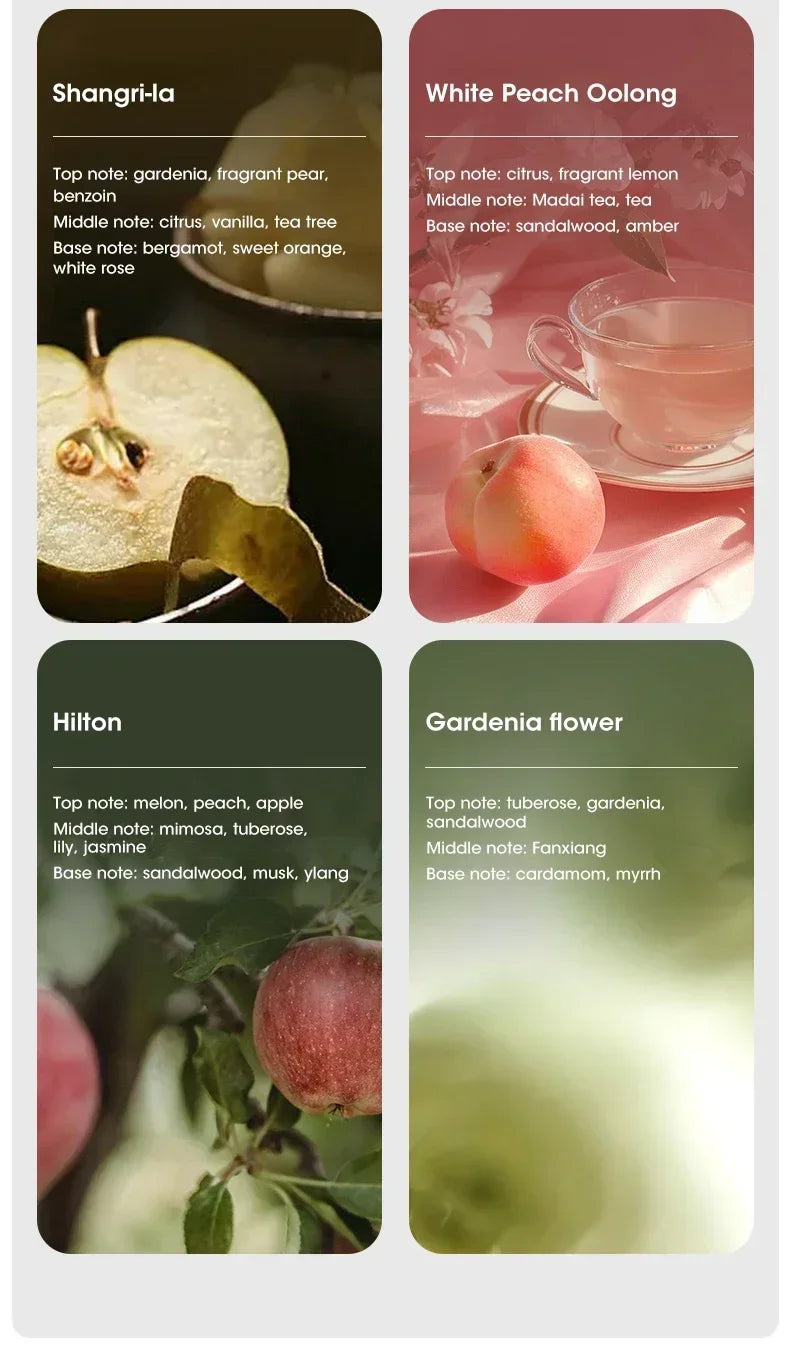 Nutshell home fragrance collection with desktop aroma diffuser scent descriptions including Shangri-la, White Peach Oolong, Hilton, and Gardenia Flower