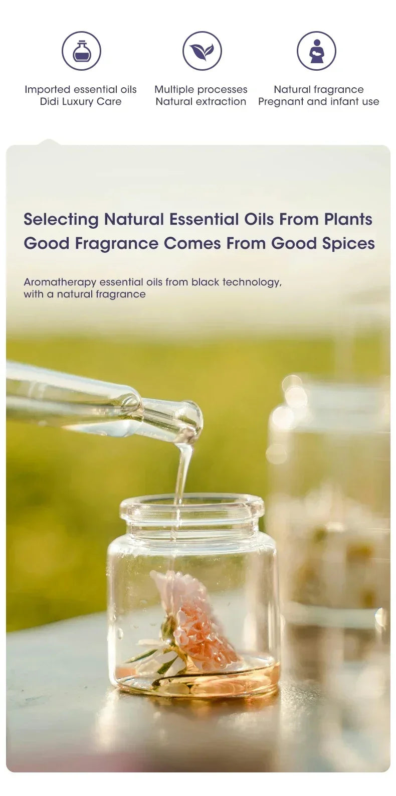 Nutshell desktop aroma diffuser with natural essential oils and good fragrance from plants and spices