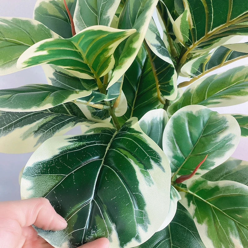Nutshell faux plant close up of variegated banyan leaves with hand touching realistic texture real touch banyan tree