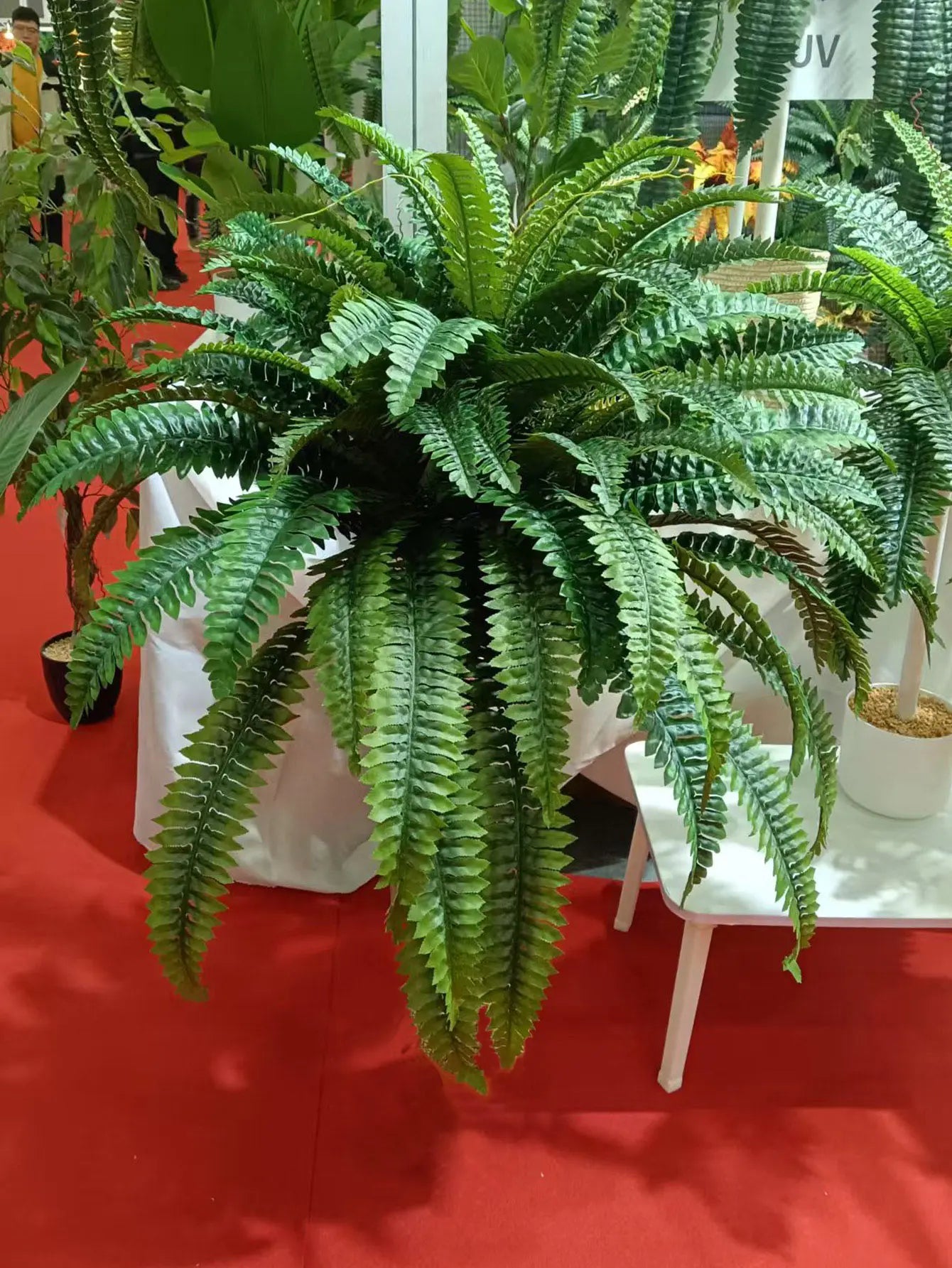 Nutshell artificial fern hanging plant in white pot with lush cascading green fronds for home decor