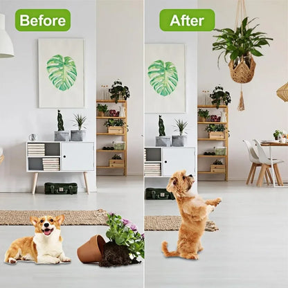 Nutshell Hanging Plant Macrame Basket displaying floral decor in a stylish living room setting