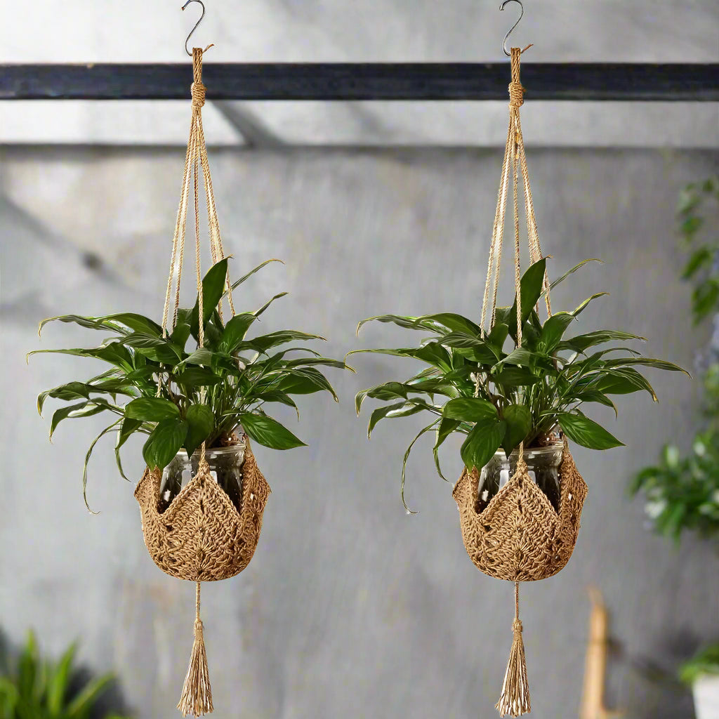 Nutshell Hanging Plant Macrame Basket in Natural Color with Green Plants for Indoor Decor