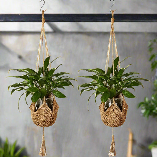 Nutshell Hanging Plant Macrame Basket in Natural Color with Green Plants for Indoor Decor