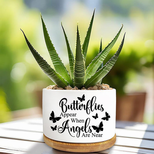Inspirational quote succulent flower pot featuring a butterfly design with an aloe plant
