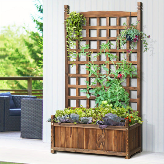 Nutshell Raised Wooden Garden Bed with trellis and vibrant plants for gardening enthusiasts