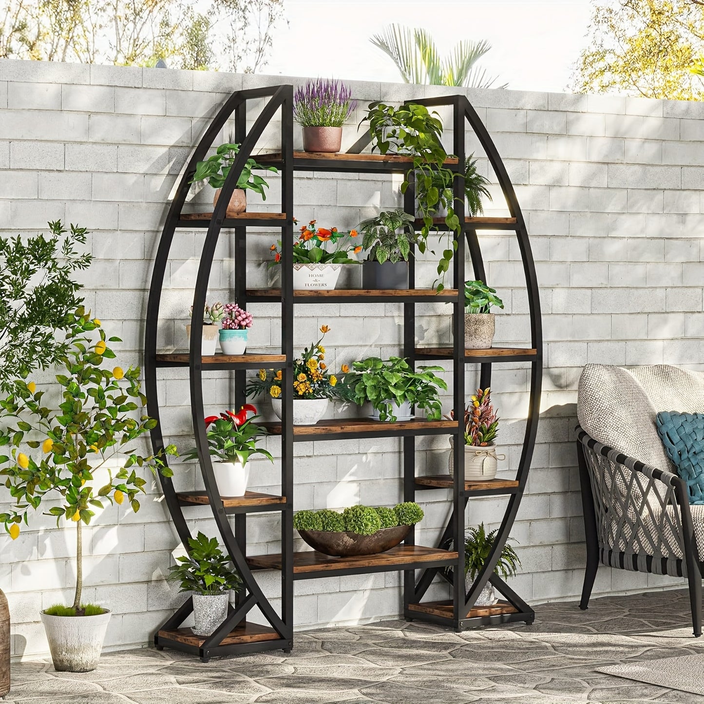 Nutshell metal curved display shelf with wooden shelves, perfect for showcasing plants and decor