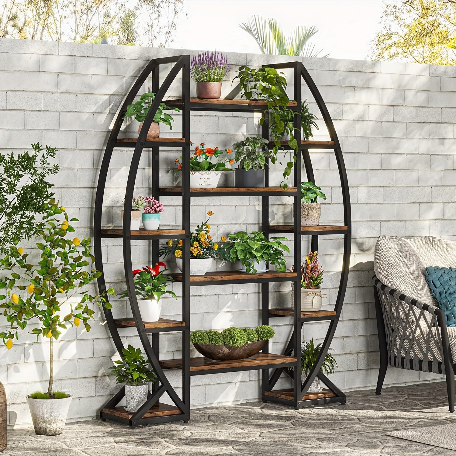 Nutshell metal curved display shelf with wooden shelves, perfect for showcasing plants and decor
