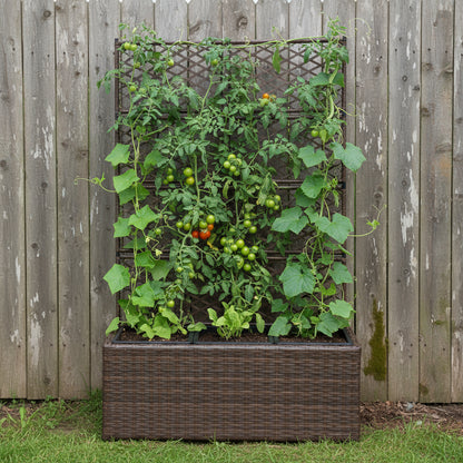Nutshell Poly Rattan Raised Garden Bed with Trellis