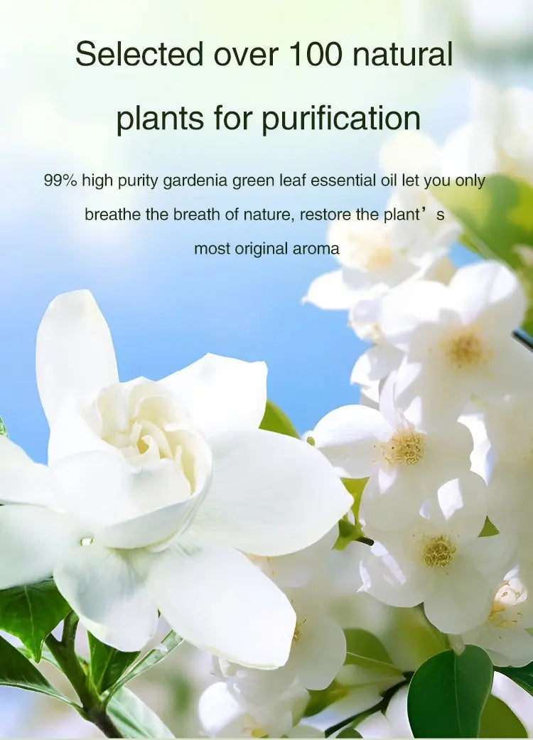 White gardenia flowers representing natural essential oils for Nutshell portable diffuser home fragrance