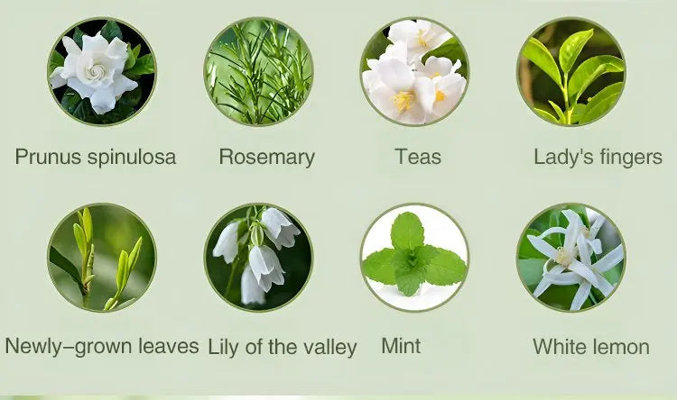 Nutshell home fragrance ingredients including Prunus spinulosa, rosemary, teas, lady's fingers, mint for portable diffuser