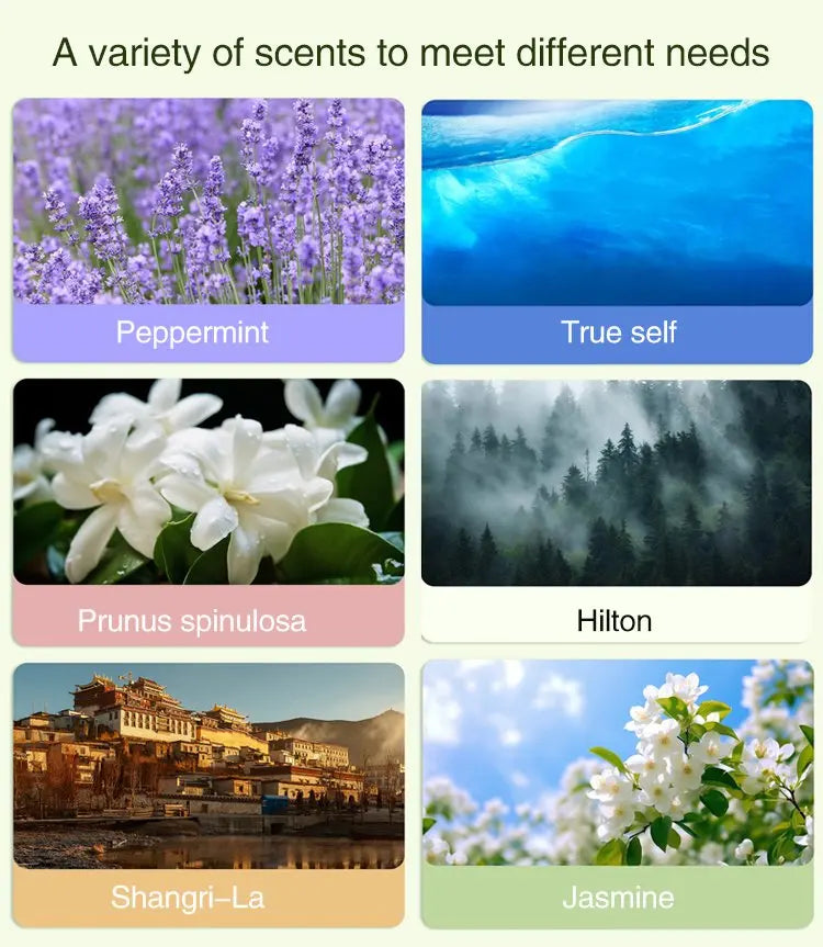 Selection of home fragrance scents for Nutshell portable diffuser including peppermint jasmine and Shangri-La