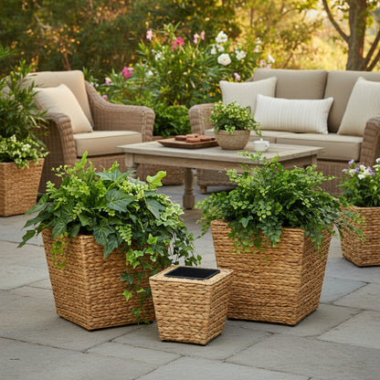 Rustic water hyacinth planters with lush green plants, enhancing outdoor seating area decor