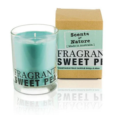 Nutshell Scents of Nature Soy Candle 240g in glass jar with Sweet Pea fragrance and cardboard packaging