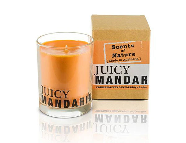 Nutshell Scents of Nature Soy Candle 240g Juicy Mandarin scent in glass jar with box