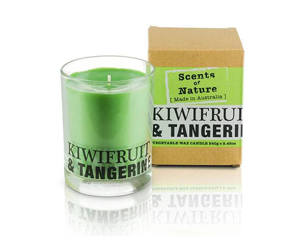 Nutshell Scents of Nature Soy Candle 240g in Kiwifruit and Tangerine scent with green wax and cardboard box