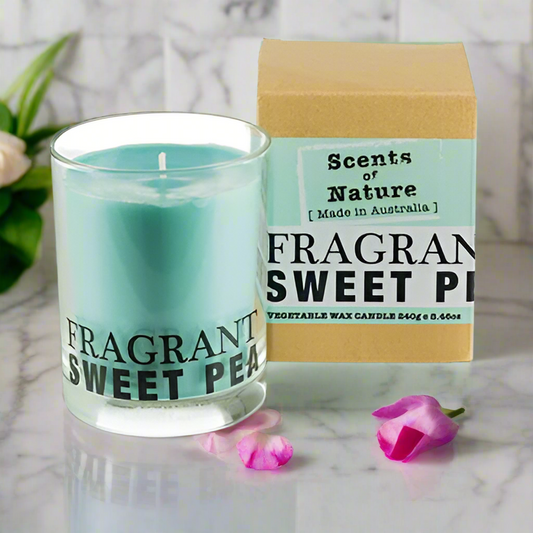 Scents of Nature Soy Candle 240g in sweet pea fragrance with blue candle in glass and brown box