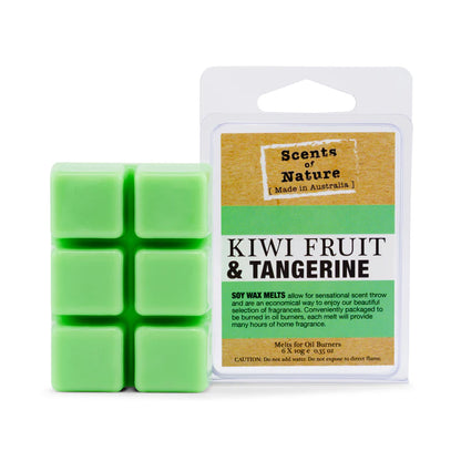 Nutshell Scents of Nature Soy Wax Melts Kiwi Fruit and Tangerine fragrance pack with green wax cubes