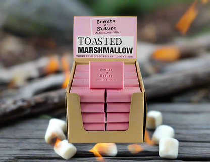 Nutshell Toasted Marshmallow soap display box with pink bars stacked and Tilley Soap Bars label