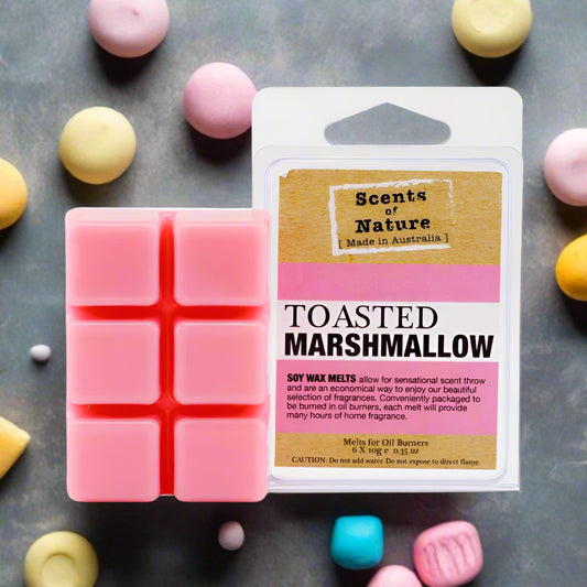 Nutshell Toasted Marshmallow Gift Pack pink soy wax melts clamshell with pastel candy props