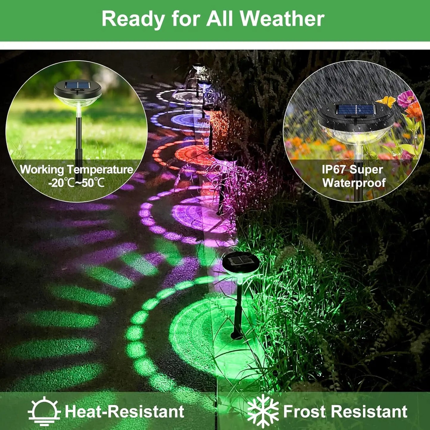 Nutshell solar pathway lights outdoor waterproof with vibrant colors and all-weather durability