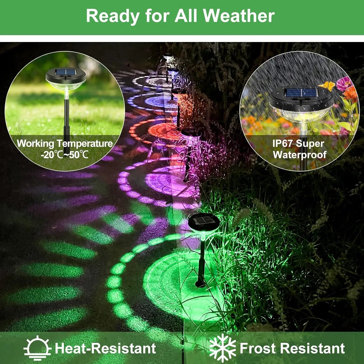 Nutshell solar pathway lights outdoor waterproof with vibrant colors and all-weather durability