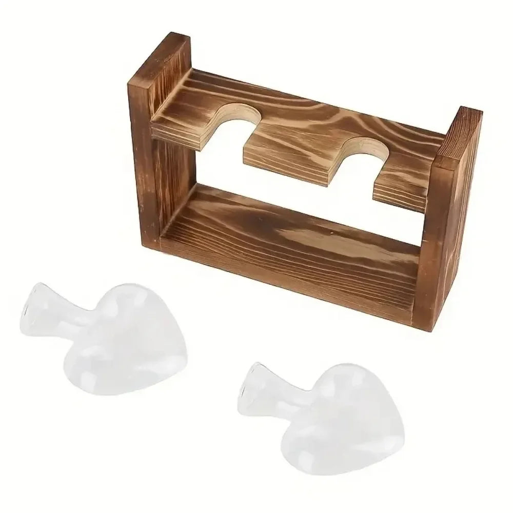 Tabletop glass planter propagation station with wooden holder and two glass vases for plant cuttings