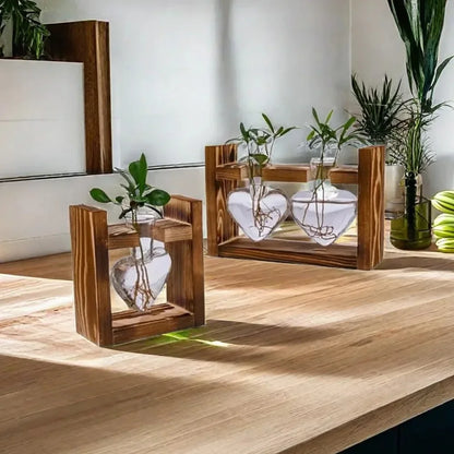 Nutshell tabletop glass planter propagation station with heart-shaped vases for stylish indoor gardening