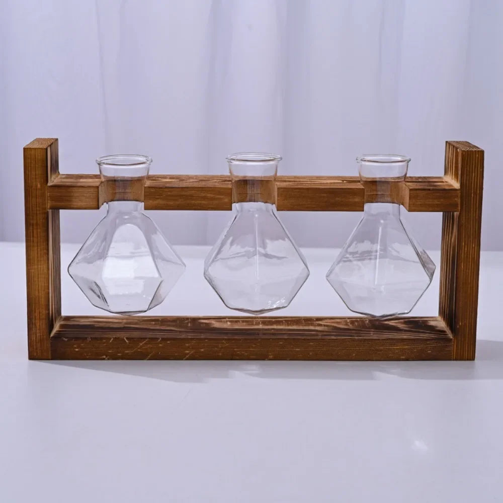 Tabletop glass planter propagation station with three glass test tubes in a wooden holder