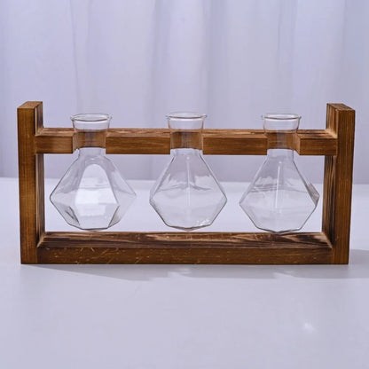 Tabletop glass planter propagation station with three glass test tubes in a wooden holder