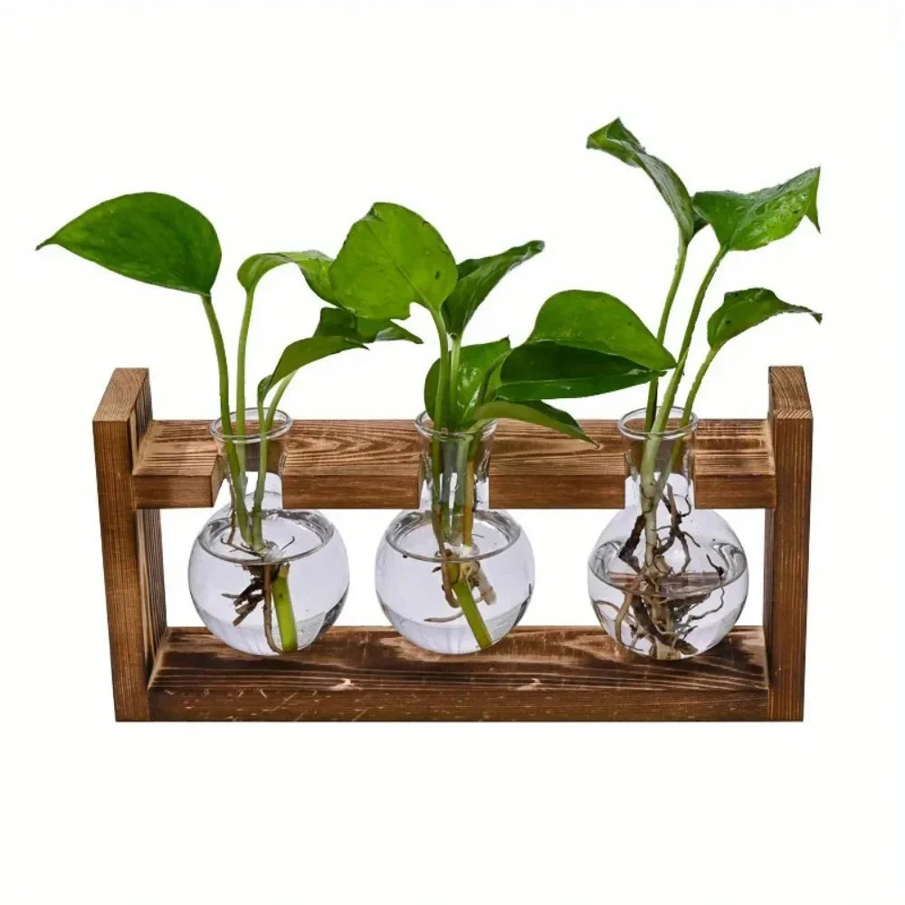 Tabletop glass planter propagation station with wooden holder and three glass vases for plant growth