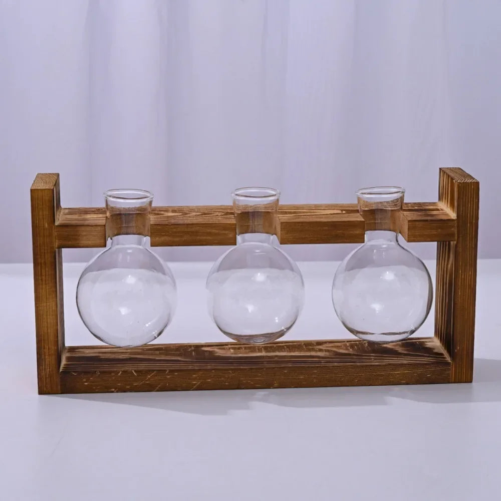 Nutshell tabletop glass planter propagation station with three glass vases on a wooden stand